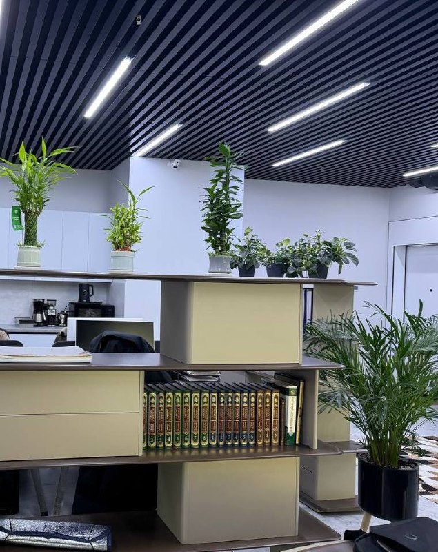 Tijorat obyekti 66 m² — ijaraga · Nest one — SHAYXONTOXUR TUMANI TOSHKENT SHAXRI