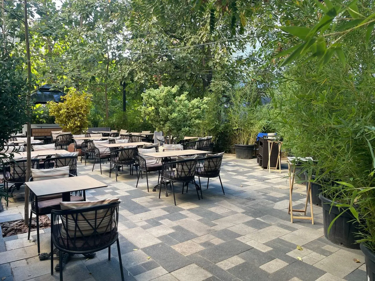 kafe-binosi,-mirobod-tumani-mirobod-tumani-3
