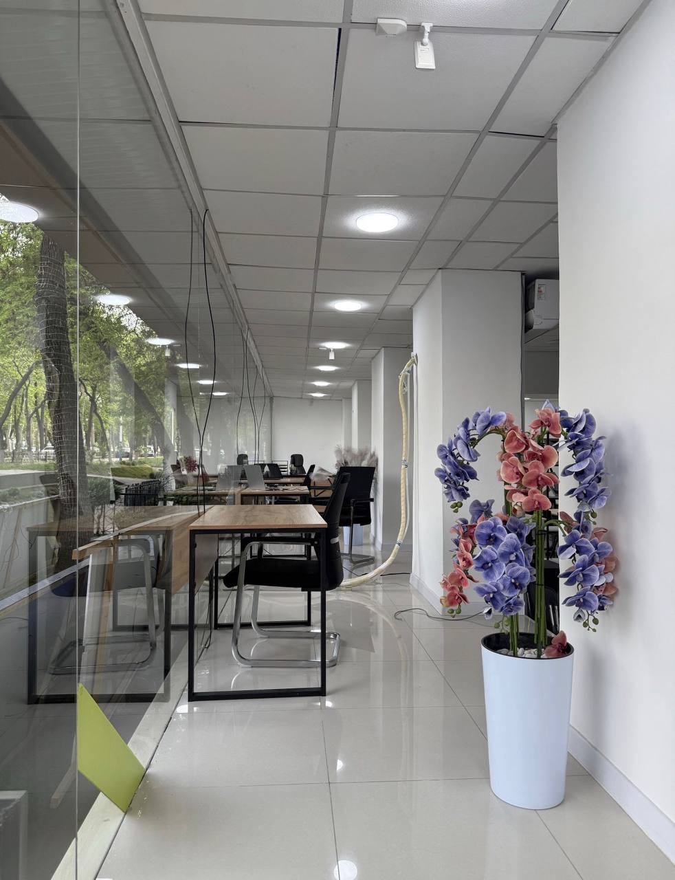 Tijorat obyekti 150 m² — ijaraga — CHILONZOR TUMANI, TOSHKENT SHAXRI — 3